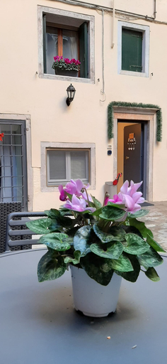 Exterior & Views 2, Corte del Doge di Rialto, Venezia