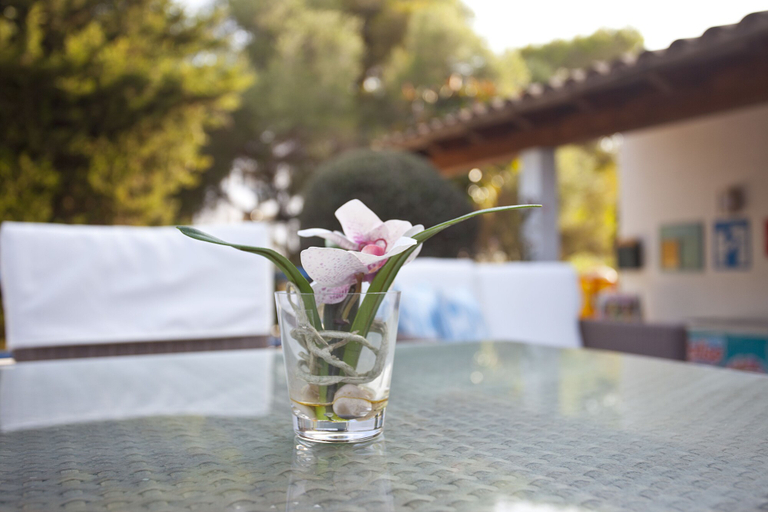 Food & Drinks 4, BJ Apartamentos Europa, Baleares