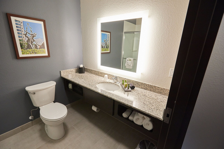 Bathroom 4, Gundersen Hotel & Suites, La Crosse