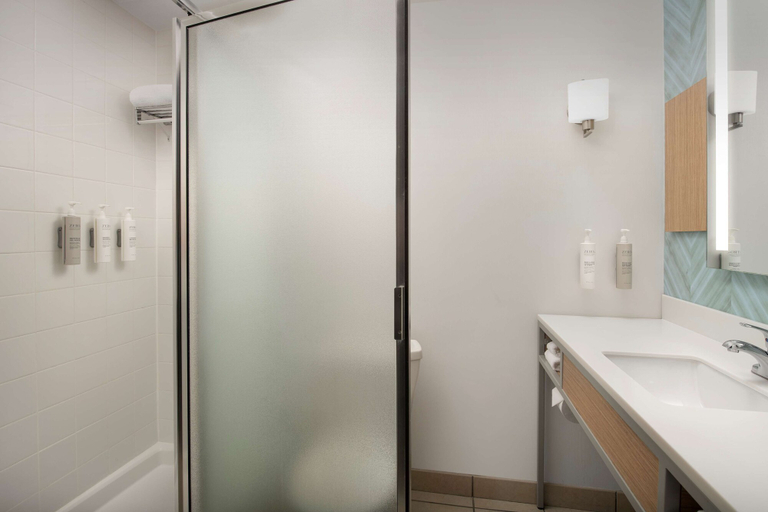 Bathroom 5, Hilton Garden Inn Knoxville West/Cedar Bluff, Knox