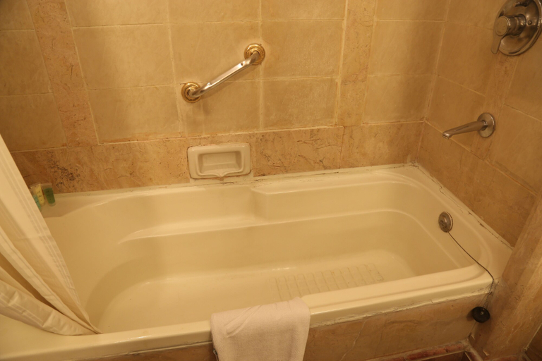 Bathroom 5, The Ashok, Delhi