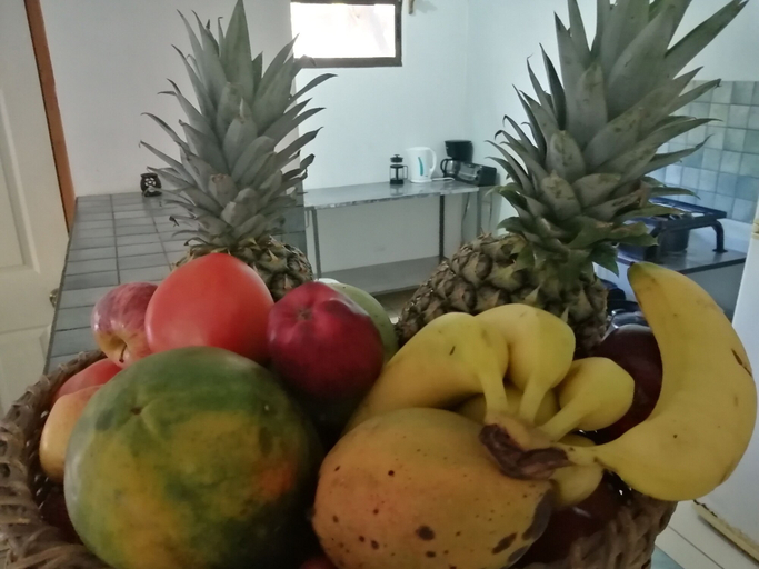 Food & Drinks 5, Las Quintas Casas para Vacacionar, Carrillo