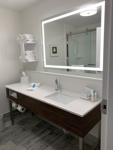 Bathroom 4, Hampton Inn Danville, Boyle