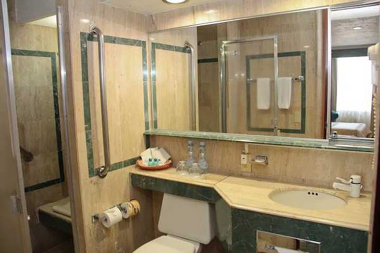 Bathroom 4, Hotel Pedregal Palace, Mexico City