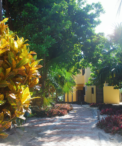 Exterior & Views 2, Margarita del Sol Costa Maya, Othón P. Blanco
