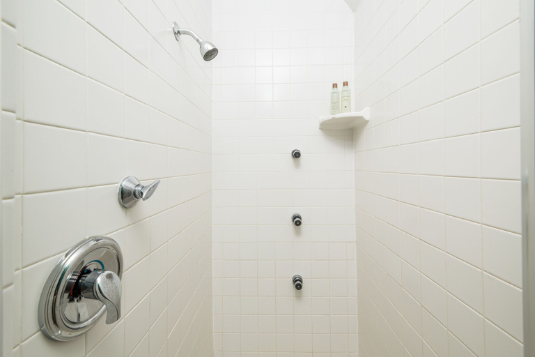 Bathroom 5, The Livingston Inn, Dane
