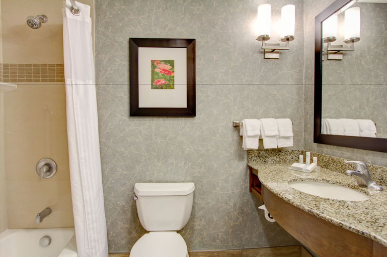 Bathroom 4, Hilton Garden Inn Charleston / Mt. Pleasant, Charleston