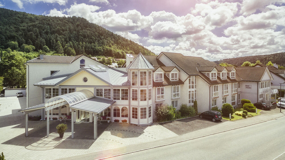 Exterior & Views 2, Hotel Traube Revital, Tuttlingen