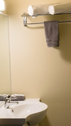 Bathroom 3, Echuca Motel, Campaspe - Echuca