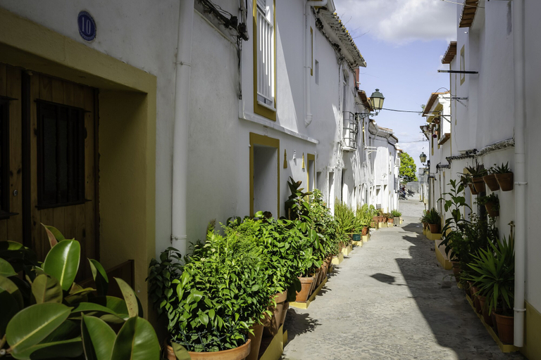Exterior & Views 2, Hotel Dom Luis, Elvas