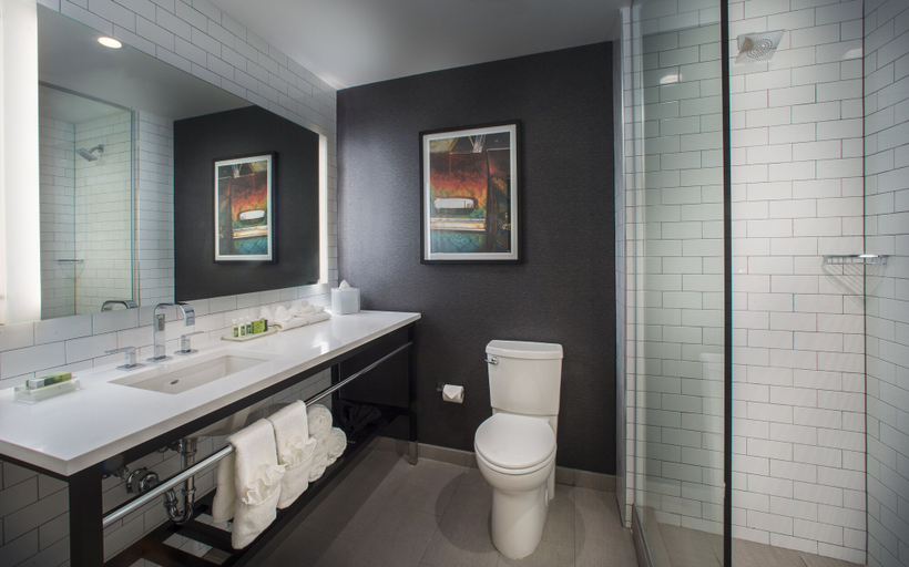 Bathroom 4, Cambria Hotel Chicago Loop - Theatre District, Cook