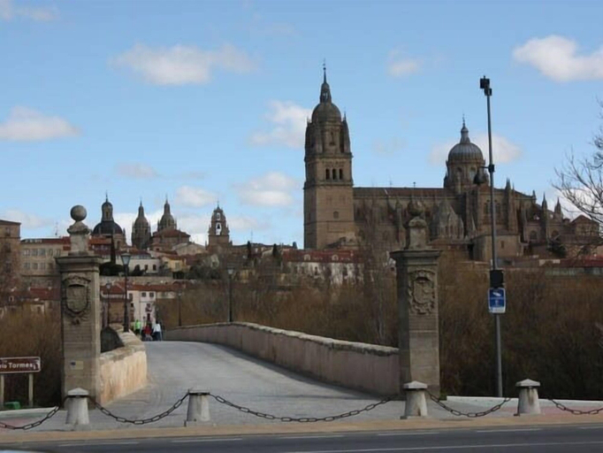 Exterior & Views 2, Apartamento Turísticos Puente Romano P3 2-A, Salamanca