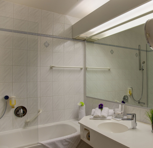 Bathroom 5, Best Western Plus Parkhotel Erding, Erding