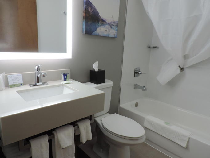 Bathroom 5, Spark by Hilton Clarion, Clarion