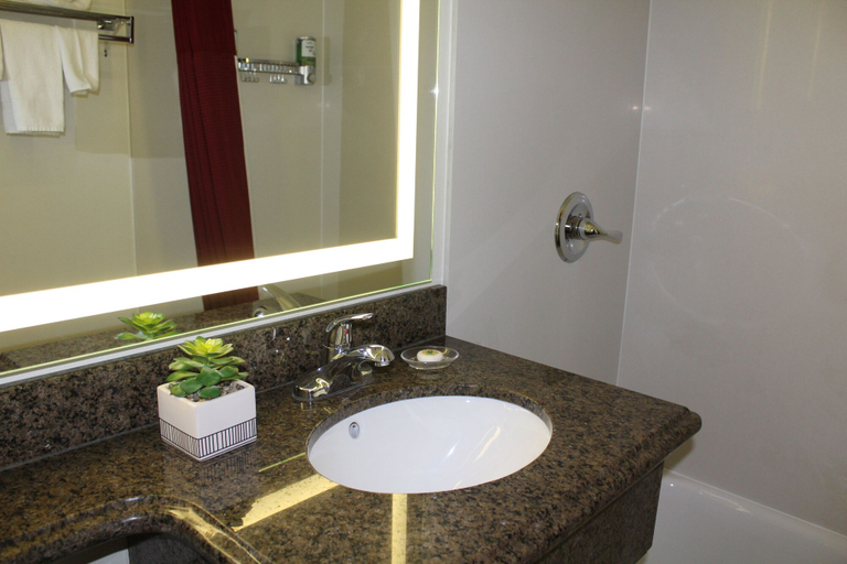 Bathroom 4, Rodeway Inn South San Francisco Airport, San Mateo