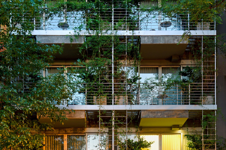 Exterior & Views 2, Palo Santo Hotel, Distrito Federal