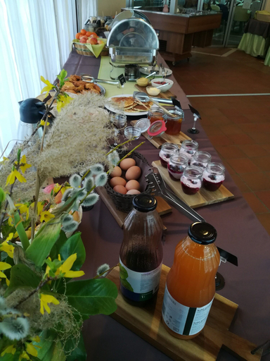 Food & Drinks 5, Apartment Resort Eco Spa Snovik, Kamnik