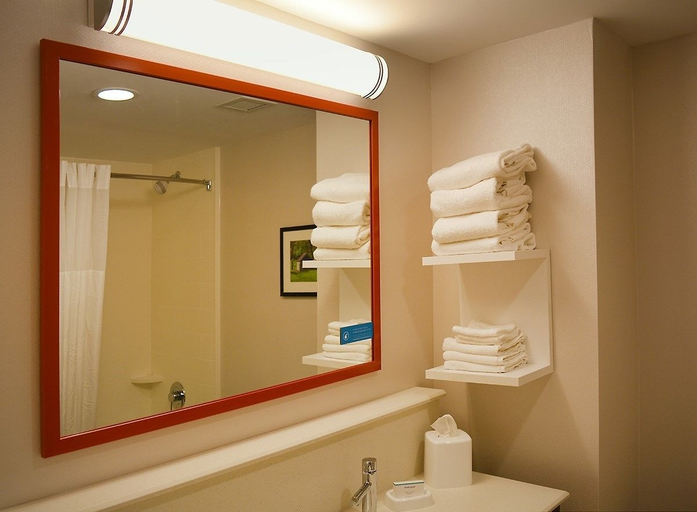Bathroom 4, Hampton Inn & Suites Philadelphia/Media, Delaware
