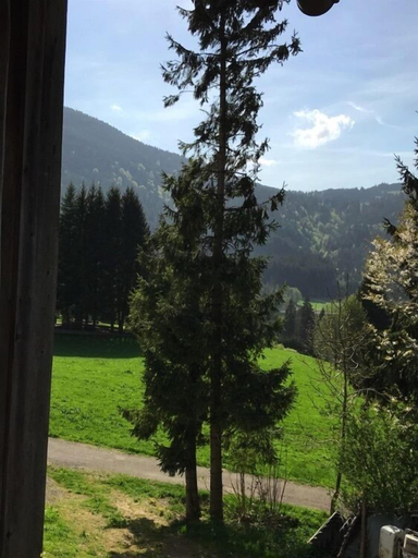 Others 5, Am Hof Jungholz, Reutte