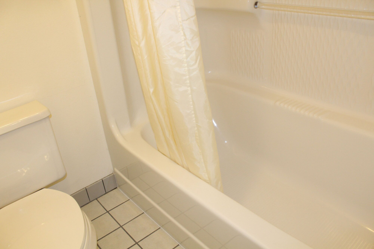 Bathroom 4, Inn at Lander, Travelodge by Wyndham, Fremont