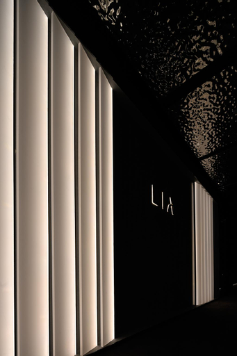 Others 4, LIA Hotel (Shenzhen Qianhai Baoan Center Fanshen Metro Station Branch), Shenzhen