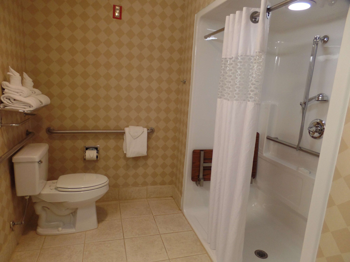 Bathroom 4, Hampton Inn Bowling Green, Wood