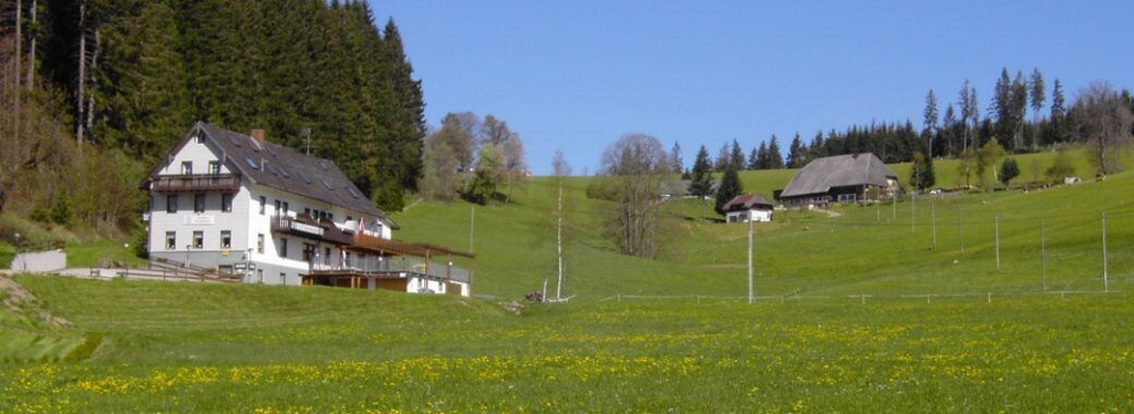 Exterior & Views 1, Gasthaus Pension Donishäusle, Breisgau-Hochschwarzwald
