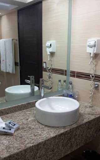 Bathroom 4, Hotel Astor, Mexico City