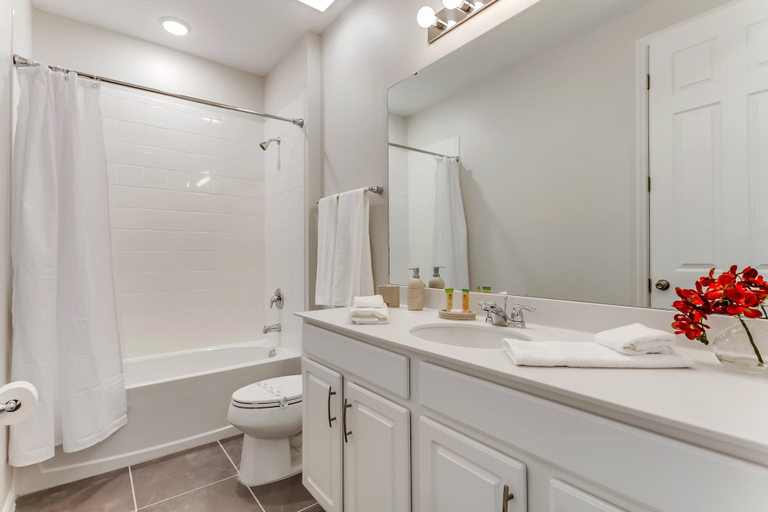 Bathroom 3, 9 BD 6.5 BH With Game Room and Pool, Osceola