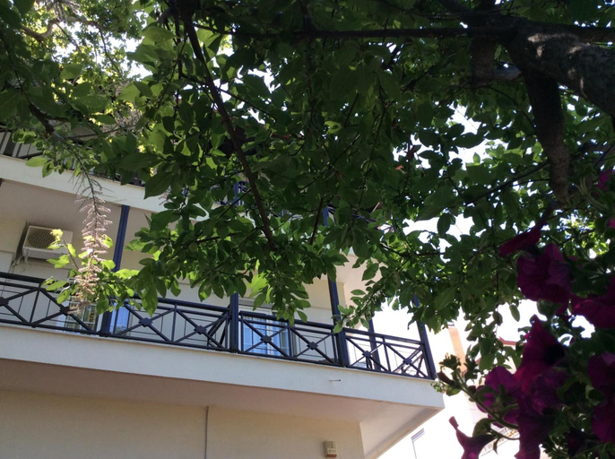 Exterior & Views 2, Hotel Morfeas, Central Macedonia