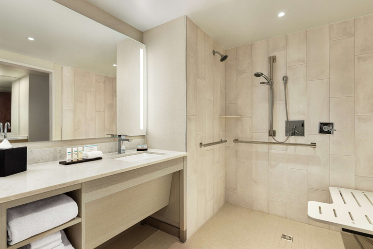 Bathroom 5, Embassy Suites by Hilton Denver International Airport, Denver