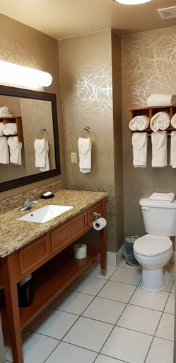 Bathroom 5, Hampton Inn Pell City, Saint Clair