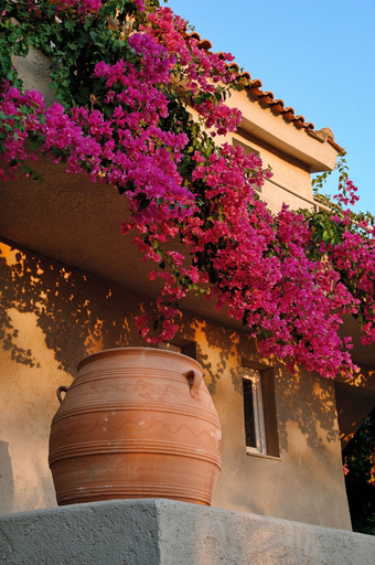 Exterior & Views, Paradise Island Villas, Crete