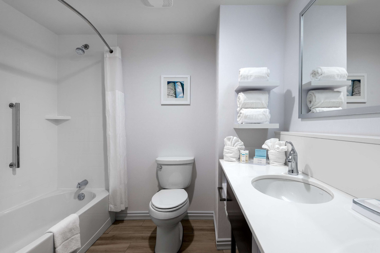 Bathroom 4, Hampton Inn & Suites West Melbourne-Palm Bay Road, Brevard