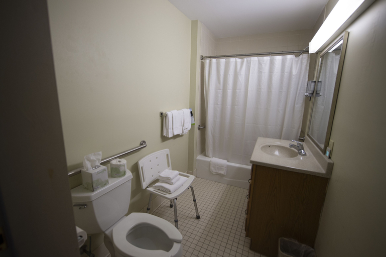 Bathroom 4, Peaks of Otter Lodge, Bedford