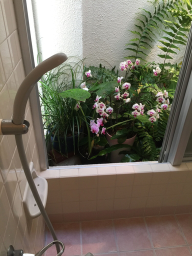 Bathroom 4, Court House K, Uruma