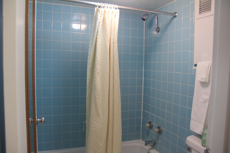 Bathroom 4, Norfolk Country Inn & Suites, Madison
