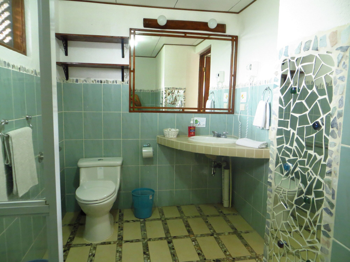 Bathroom 4, Guayabo Lodge, Turrialba