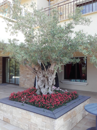 Exterior & Views 2, Lyolyl BnB Nature Loisirs, Orne