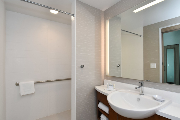 Bathroom 4, SpringHill Suites Charlotte City Center, Mecklenburg