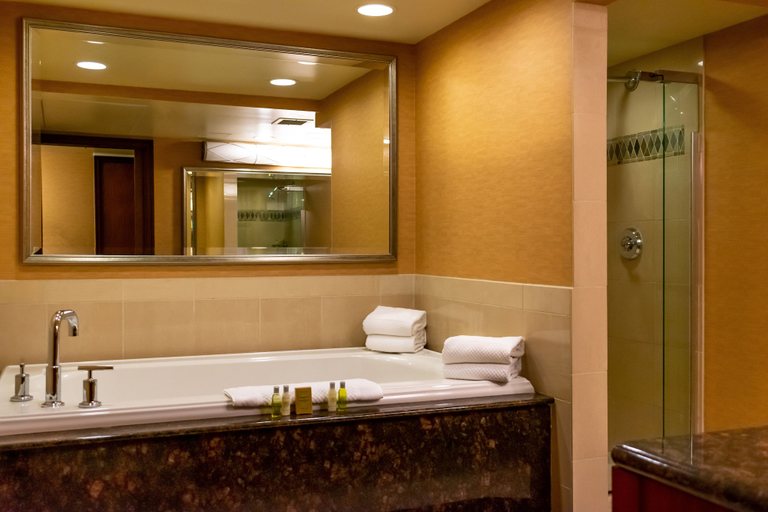 Bathroom 5, DoubleTree by Hilton San Jose, Santa Clara