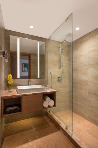 Bathroom 5, Doubletree by Hilton Jaipur Amer, Jaipur