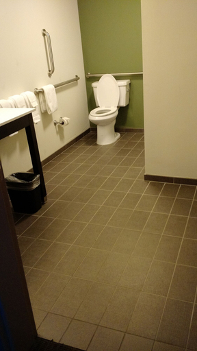 Bathroom 3, Sleep Inn & Suites Defuniak Springs - Crestview, Walton