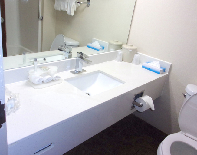 Bathroom 3, Econo Lodge Inn & Suites, Will