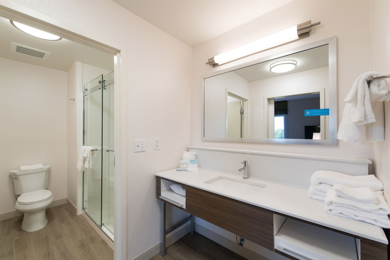 Bathroom 4, Hampton Inn & Suites Walterboro, Colleton