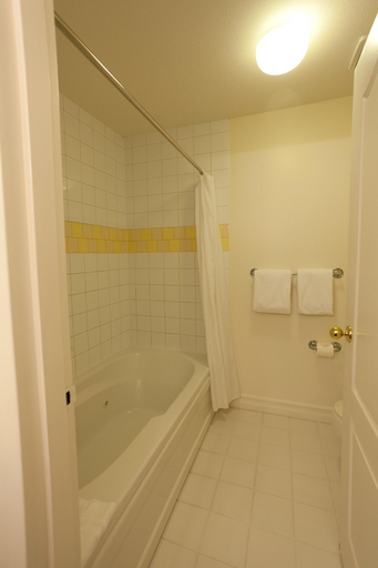 Bathroom 5, South Thompson Inn & Conference Centre, Thompson-Nicola