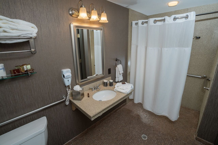 Bathroom 5, Normandy Farm Hotel and Conference Center, Montgomery