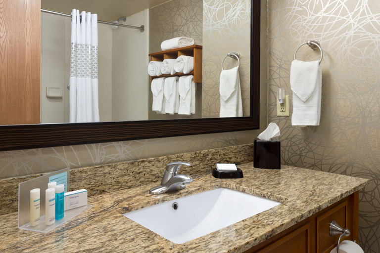 Bathroom 5, Hampton Inn Pell City, Saint Clair