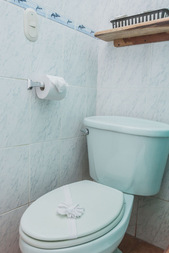 Bathroom 5, The Palms At Coco Beach, Carrillo