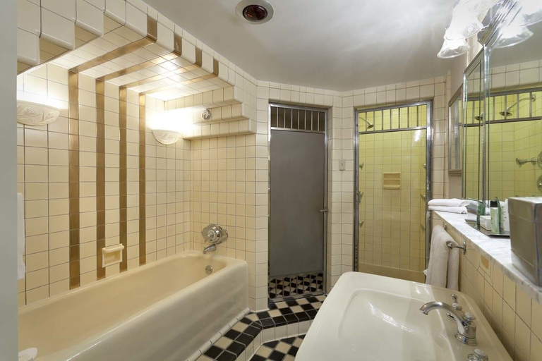Bathroom 5, Hilton Cincinnati Netherland Plaza, Cincinnati